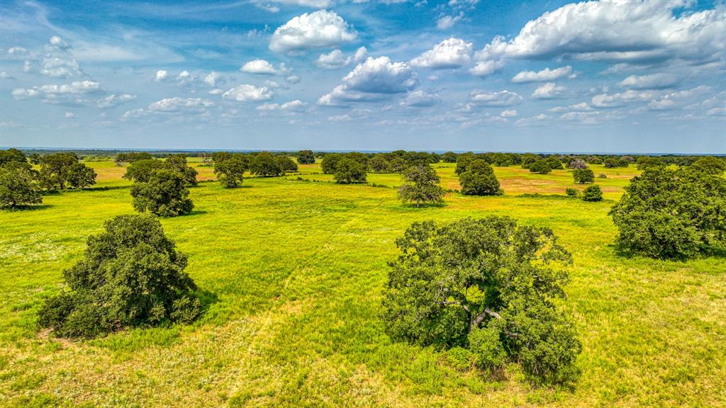 11500 Bowden Road Lipan, TX 76462 - Photo 9 of 32