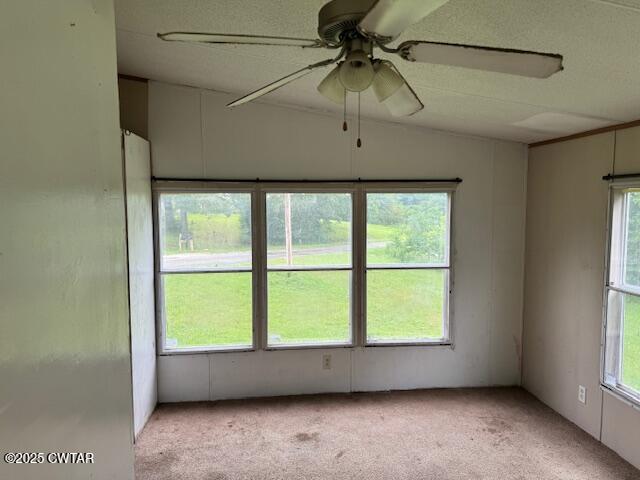 760 Lone Elm Road Lexington, TN 38351 - Photo 6 of 8 IMG_9189