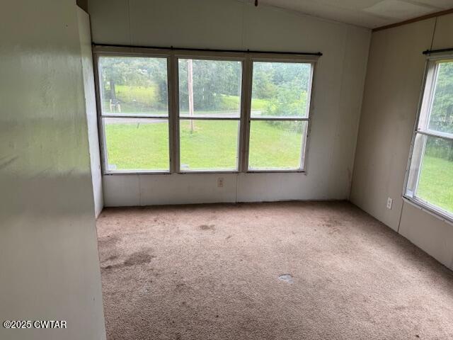 760 Lone Elm Road Lexington, TN 38351 - Photo 7 of 8 IMG_9188