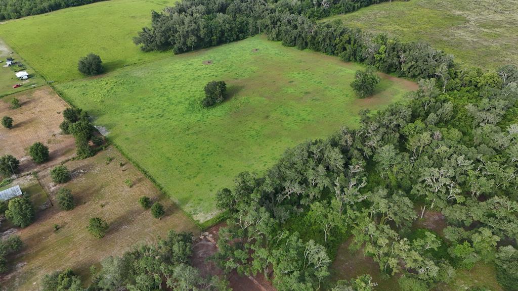 Vacant 145th Road Live Oak, FL 32060 - Photo 41 of 42