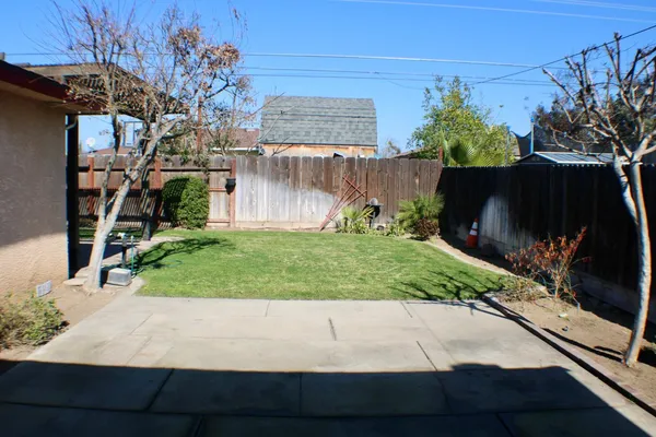 a view of backyard with potted plants