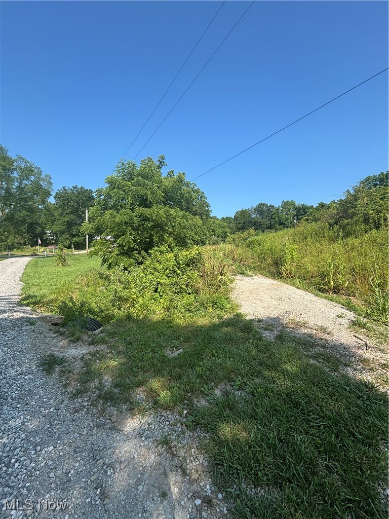 Everly Road Sarahsville, OH 43779 - Photo 2 of 20 View of road