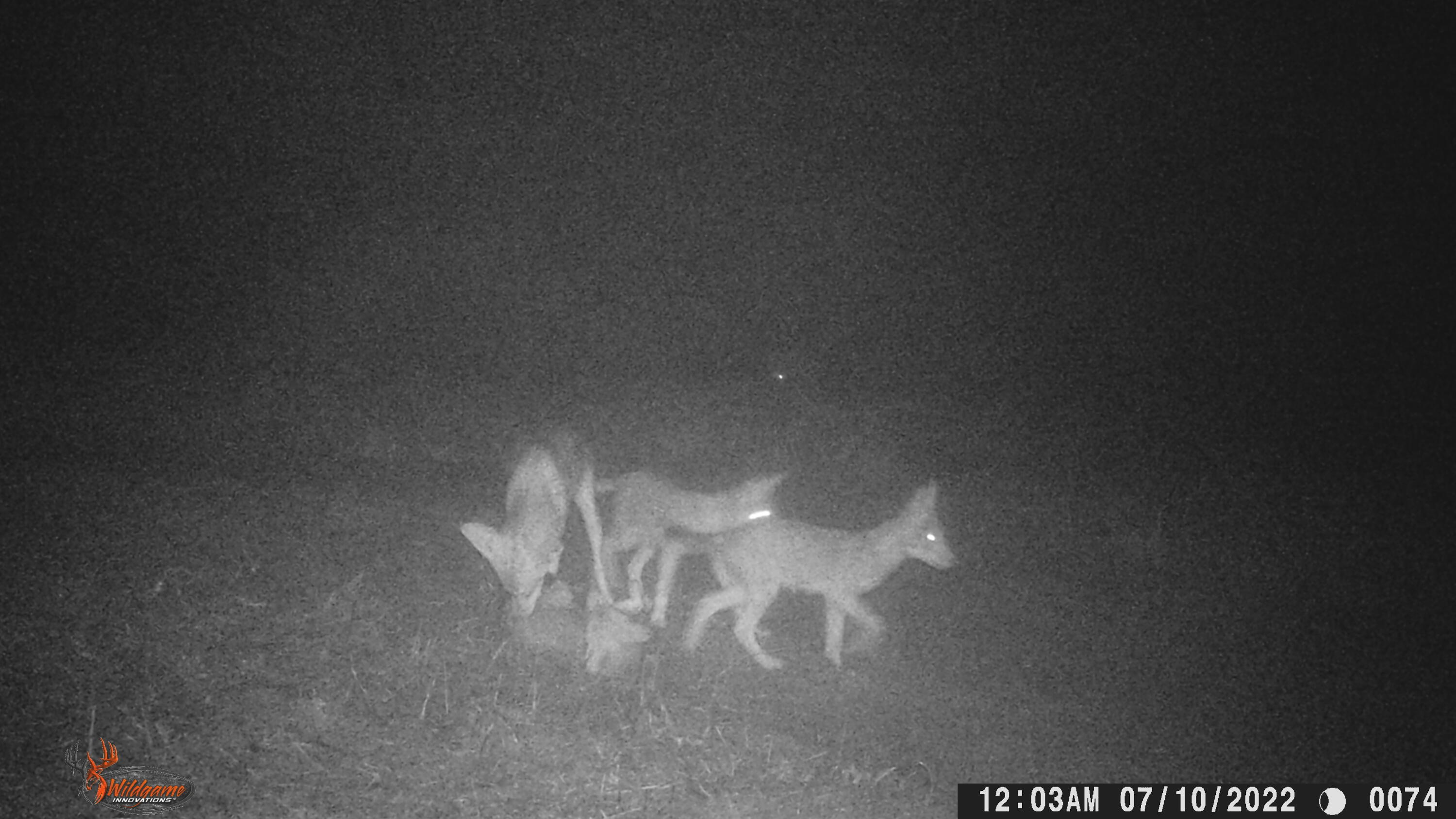 731 Trails End Road Lancaster, KY 40444 - Photo 25 of 47 WGI_0074