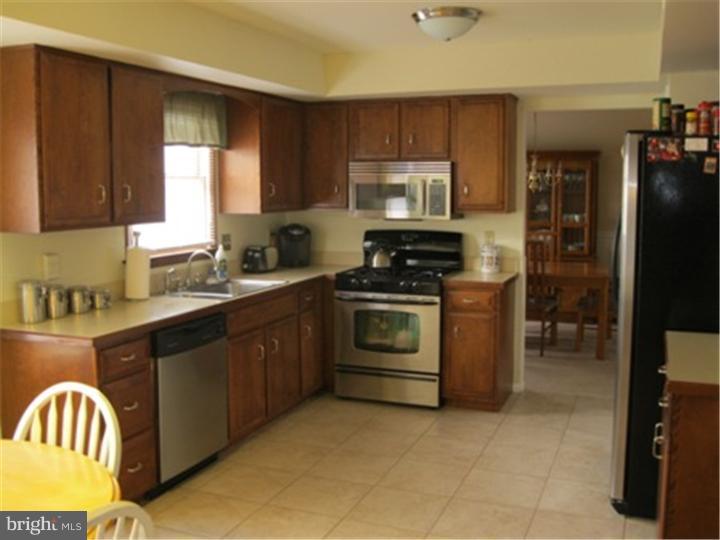 2902 Daniel Drive Sinking Spring, PA 19608 - Photo 8 of 24 a kitchen with a stove a sink and a microwave