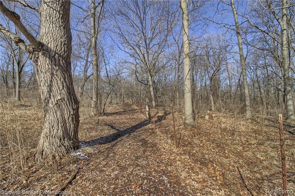 1381 North Livernois Road Rochester Hills, MI 48306 - Photo 31 of 34