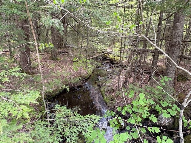 0 Route 114 North Sutton, NH 03260 - Photo 12 of 13