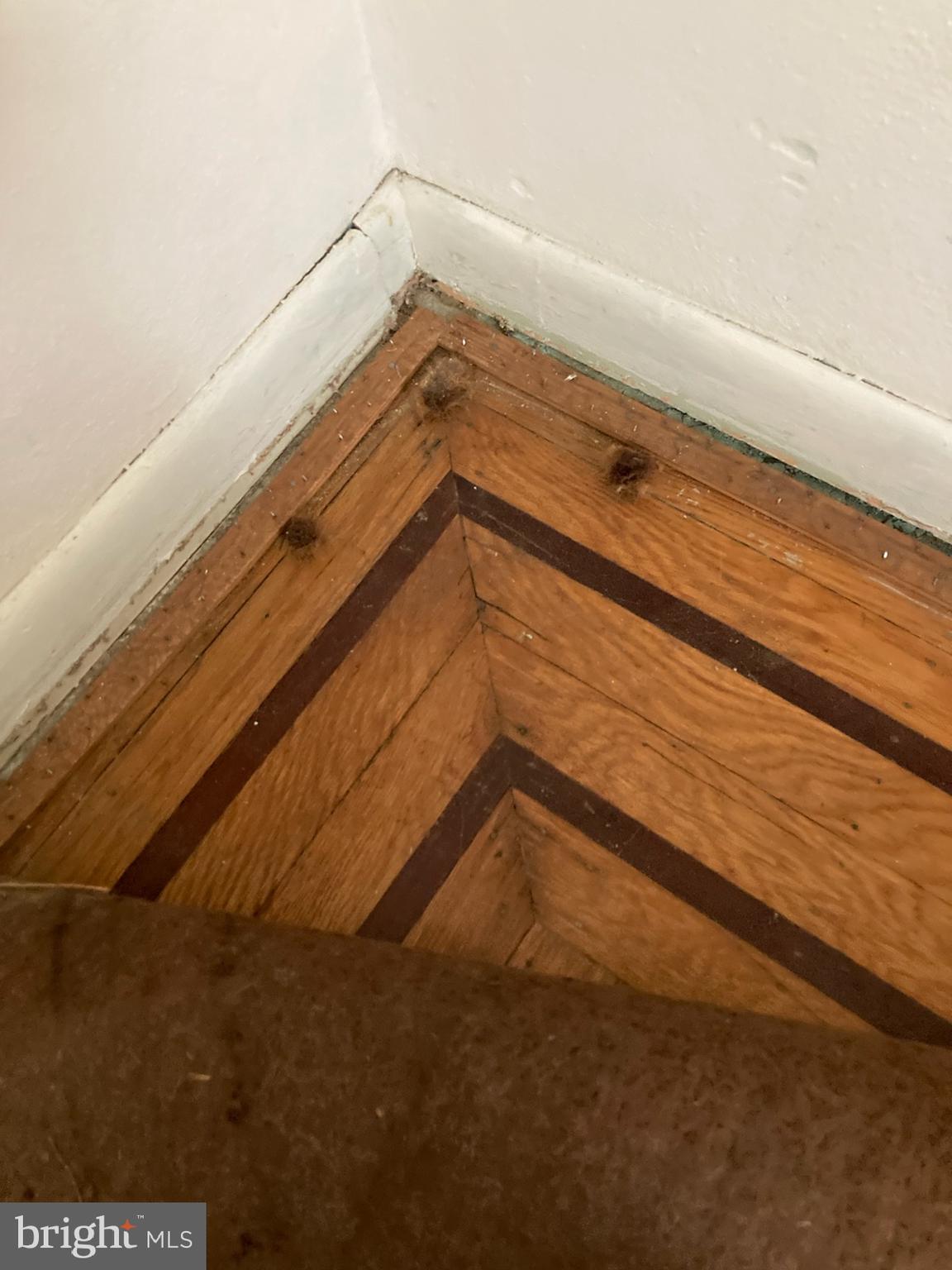 2436 West Ritner Street Philadelphia, PA 19145 - Photo 41 of 64 Middle Bedroom Original Wood Flooring under carpet