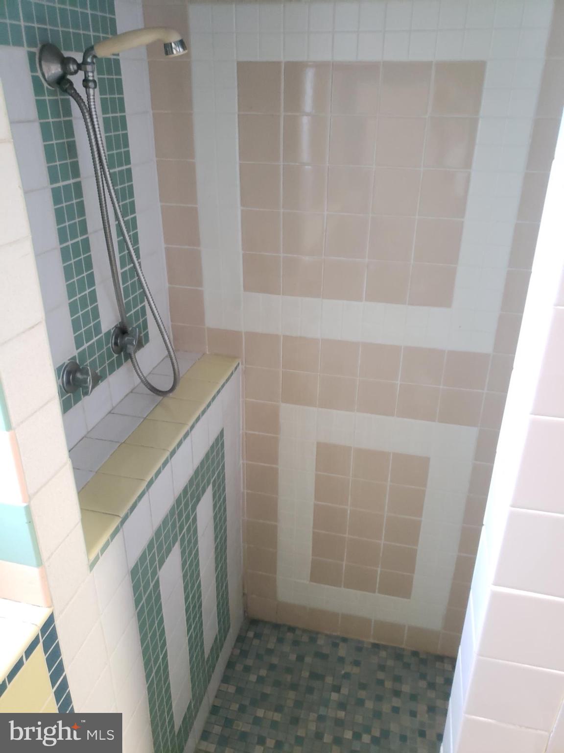 2436 West Ritner Street Philadelphia, PA 19145 - Photo 56 of 64 Basement -Full Bathroom w/ shower stall