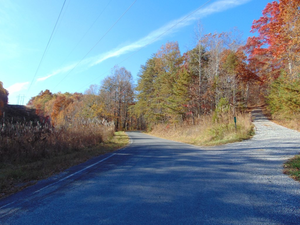 0 Raccoon Ridge Road Spring City, TN 37381 - Photo 64 of 70