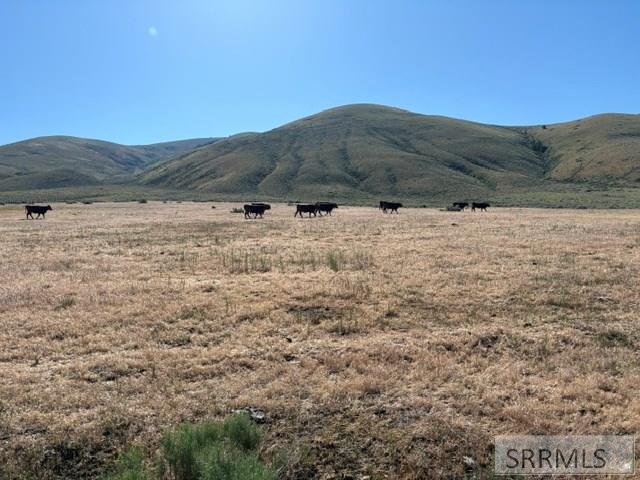 0 Tbd Salmon, ID 83467 - Photo 4 of 11