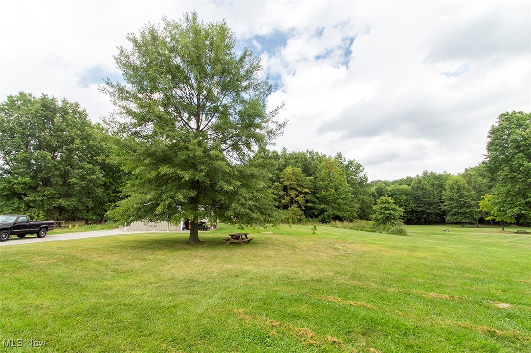 8559 Crow Road Litchfield, OH 44253 - Photo 22 of 27 View of yard