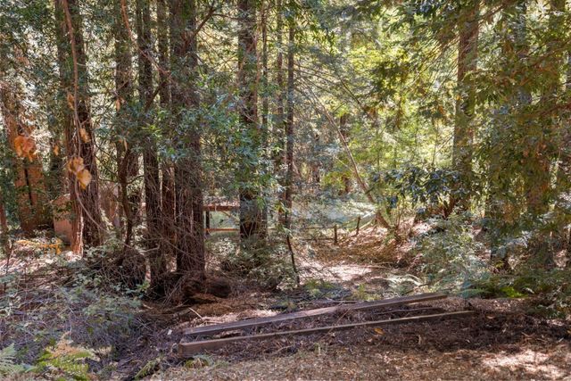 a backyard of a house with lots of trees