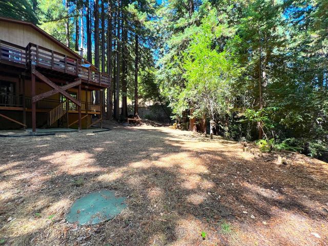 a view of a backyard with large trees