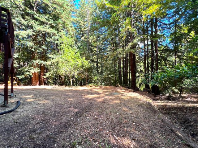 a view of a yard with a tree