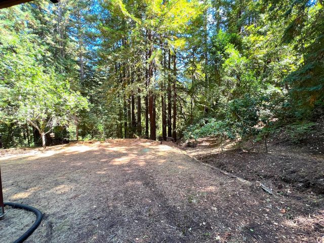 a view of a yard with a tree
