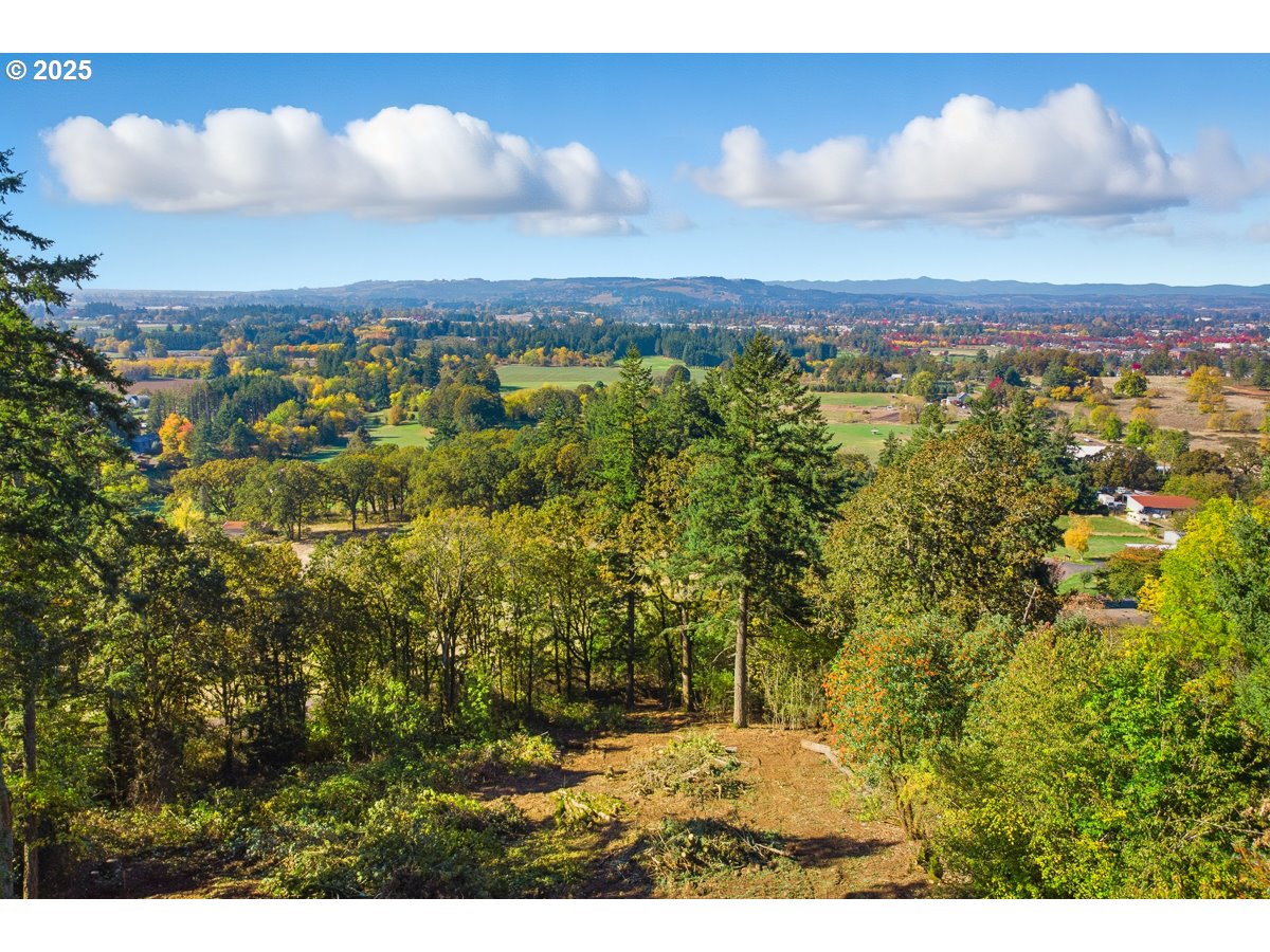32047 Northeast Corral Creek Road Newberg, OR 97132 - Photo 38 of 40 a view of city and mountain