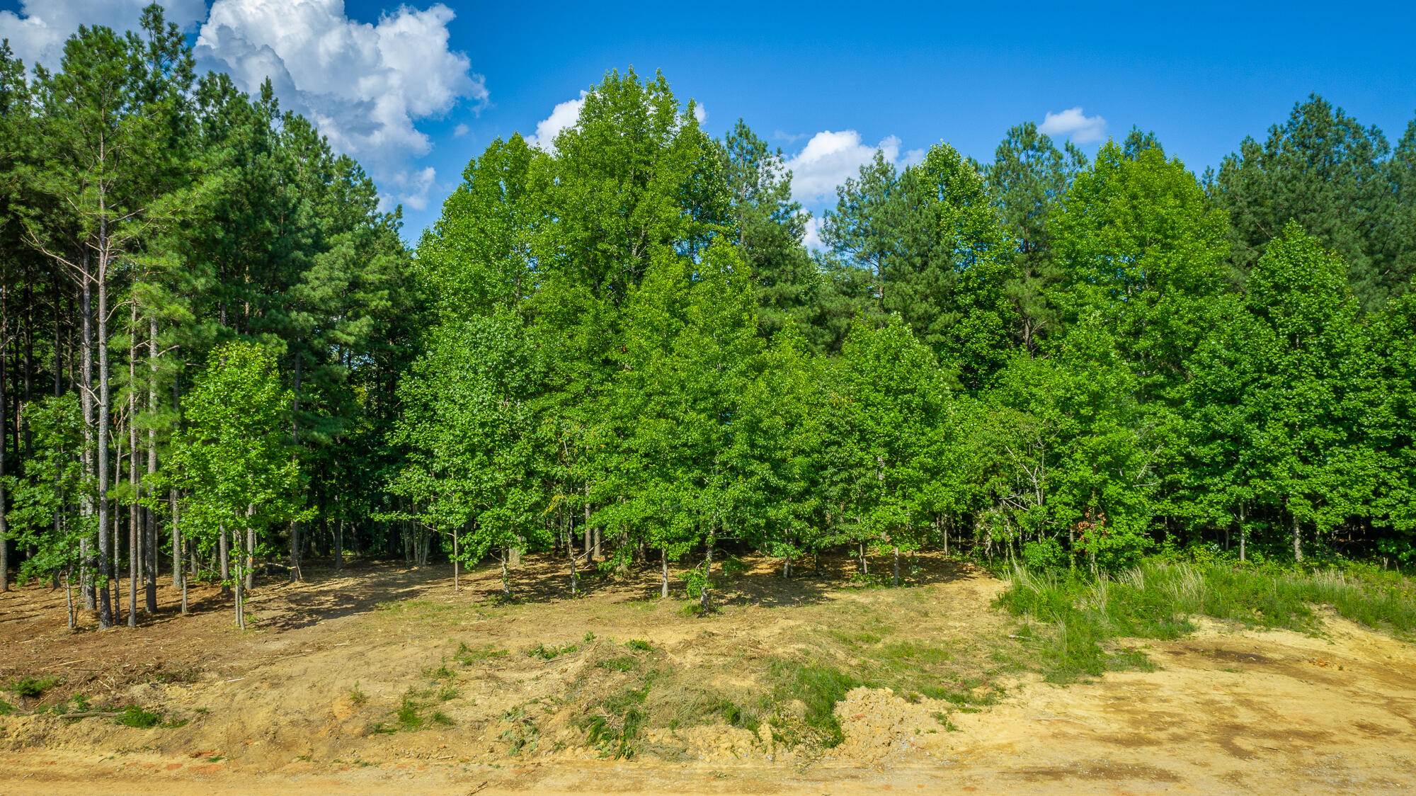 0 High Ground Road, Unit 2222 Guild, TN 37340 - Photo 33 of 110 0 High Ground Road Lot 2222 HD-1