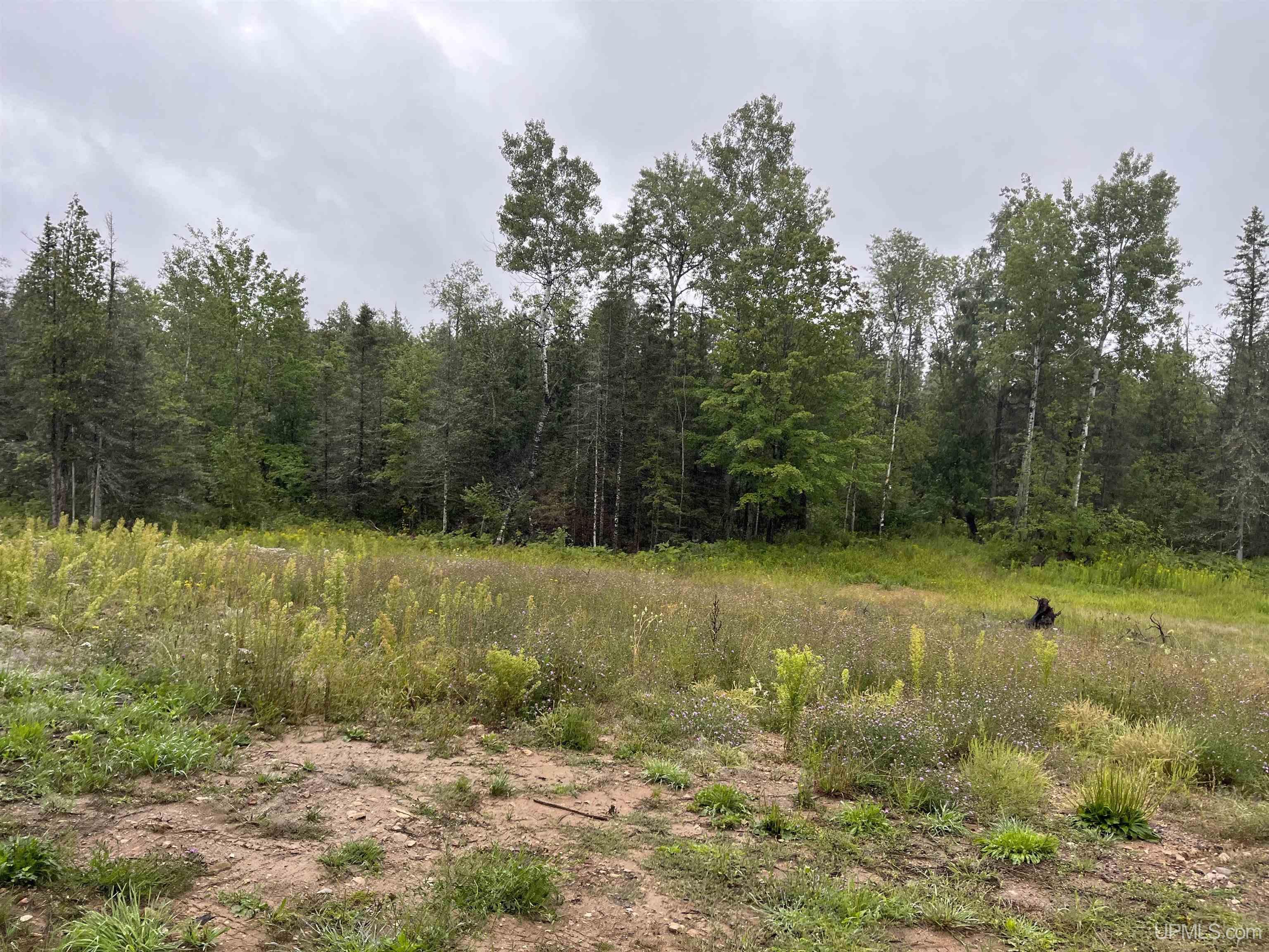 54868 County 426 M.5 Road Felch, MI 49831 - Photo 24 of 29