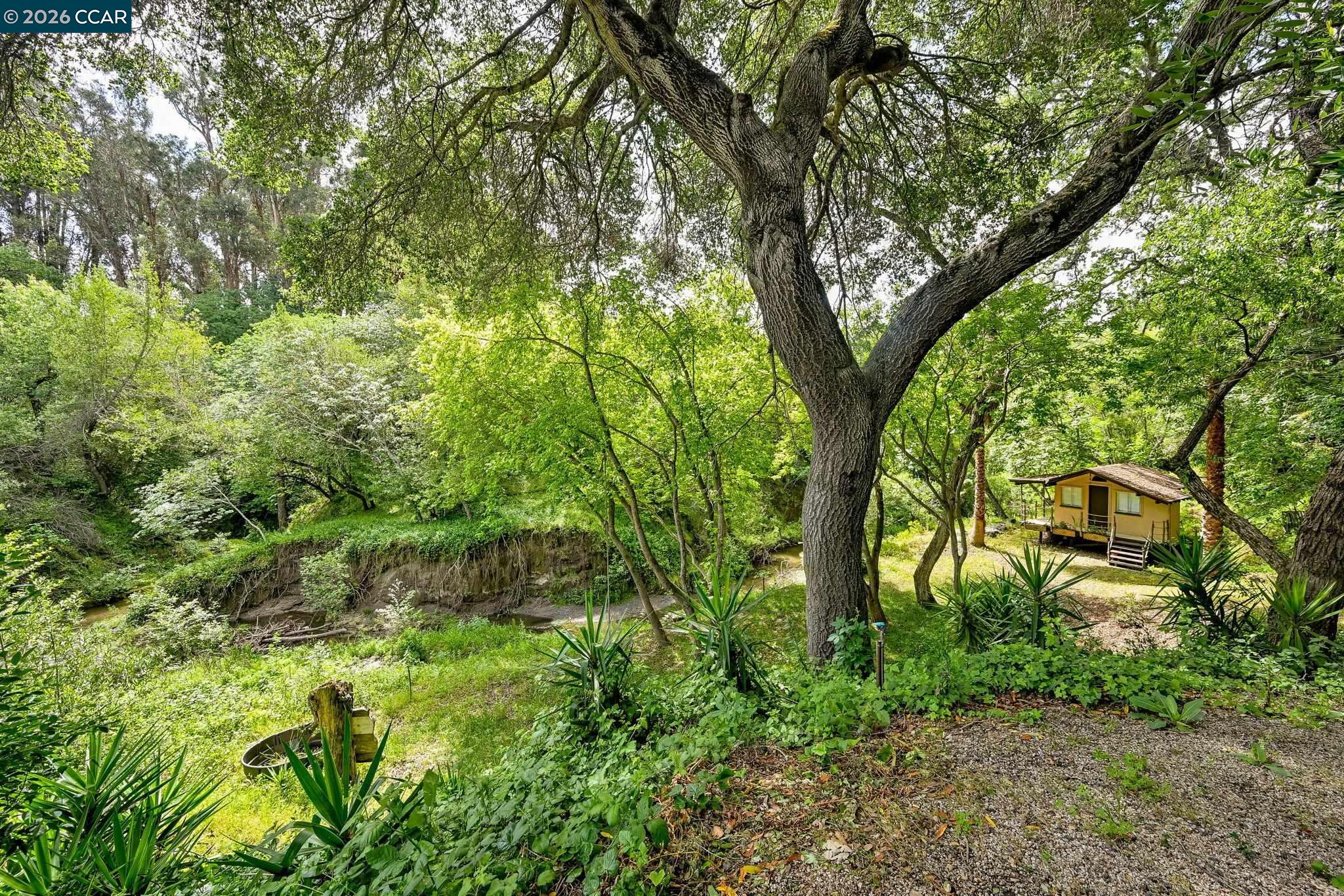 490 St Marys Road Lafayette, CA 94549 - Photo 40 of 61 a view of outdoor space