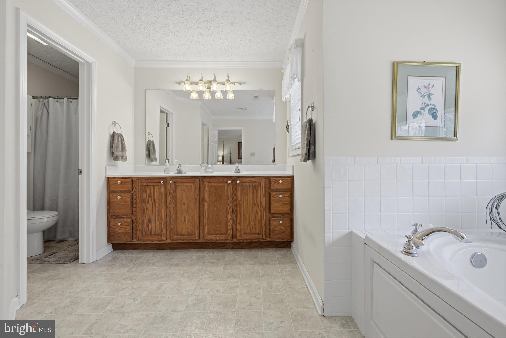 155 Bunchberry Ridge Court Stephens City, VA 22655 - Photo 44 of 71 a bathroom with a tub sink and mirror