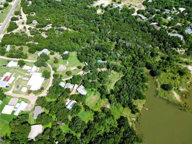 a view of a tree in a garden