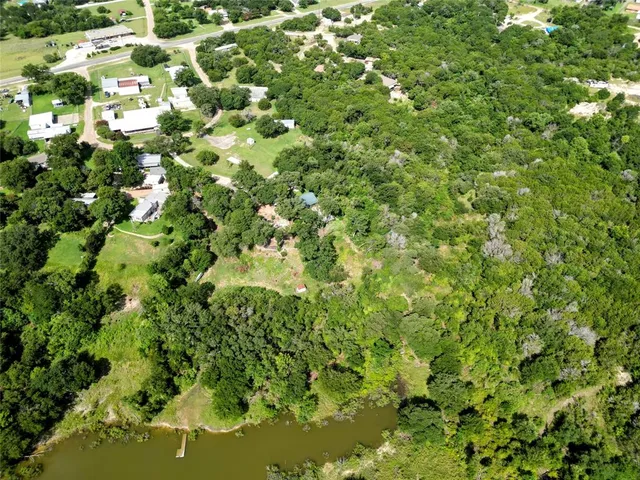 a view of a bunch of trees