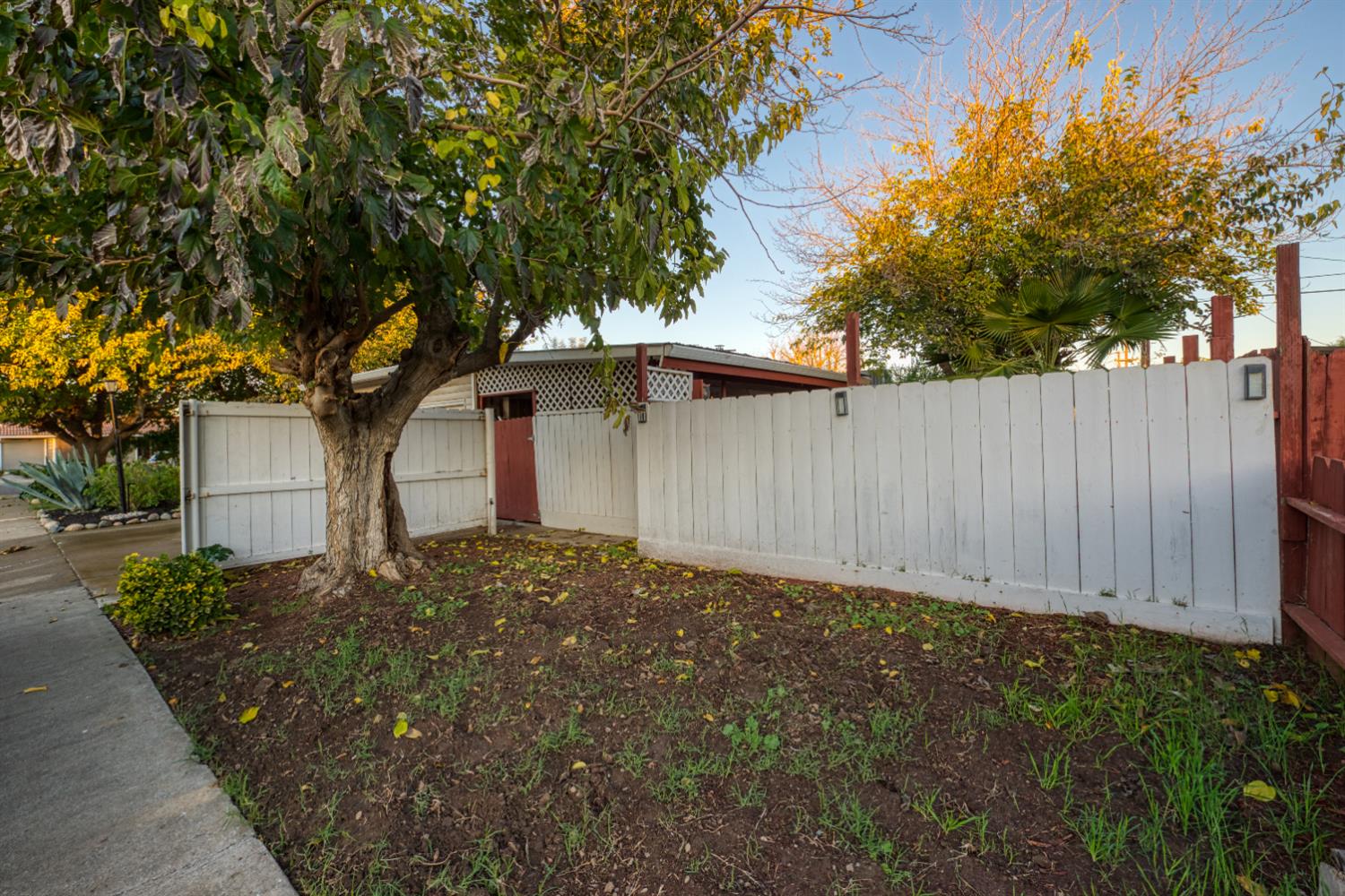 902 Waller Street Gustine, CA 95322 - Photo 9 of 32 a front view of a house with garden