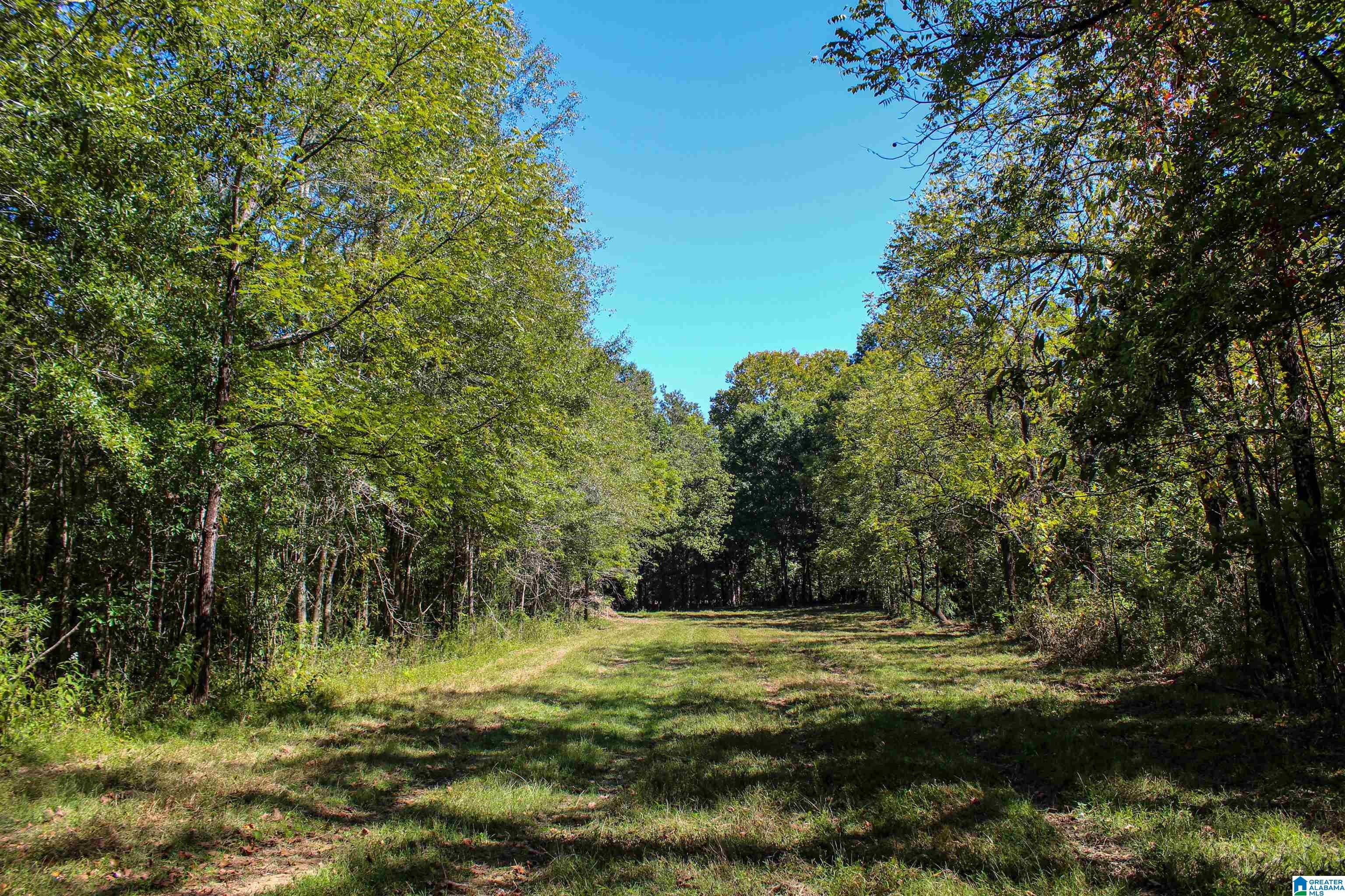 1 Sawyers Cove Road Calera, AL 35040 - Photo 50 of 62 Gallery Image 50