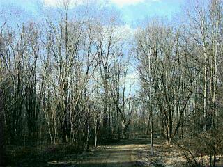 38 Camp Madron Road Buchanan, MI 49107 - Photo 1 of 1 Primary Photo