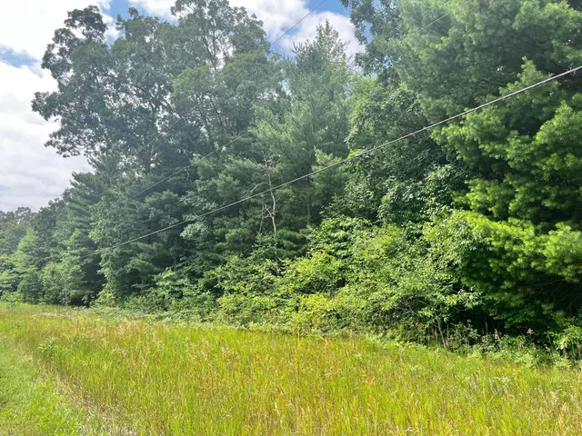 $165,000 | Vl Sikkenga Road, Unit PARCEL C, Montague, MI 49437