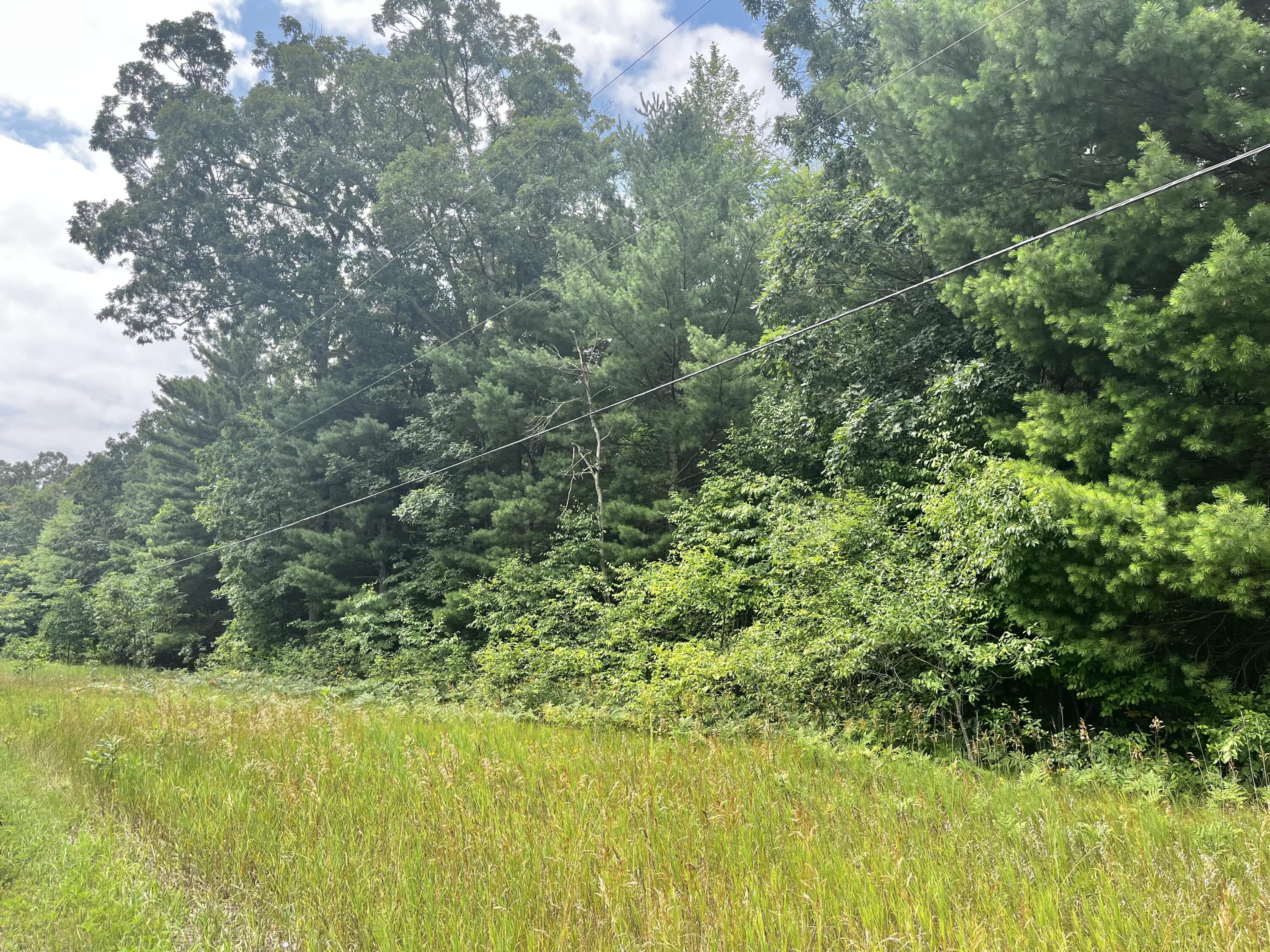 Vl Sikkenga Road, Unit PARCEL C Montague, MI 49437 - Photo 2 of 4 IMG_1114