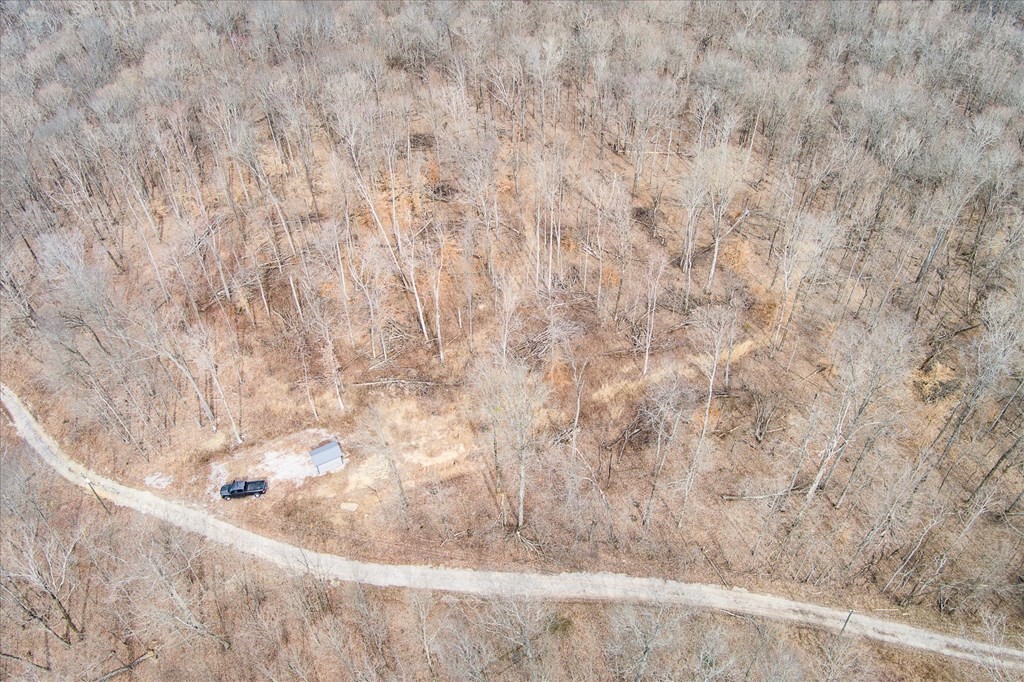 0 Fire Tower Road Sparta, TN 38583 - Photo 3 of 11 Gallery Image 3