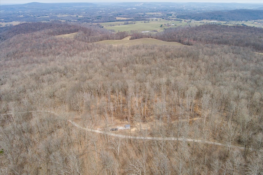 0 Fire Tower Road Sparta, TN 38583 - Photo 5 of 11 Gallery Image 5