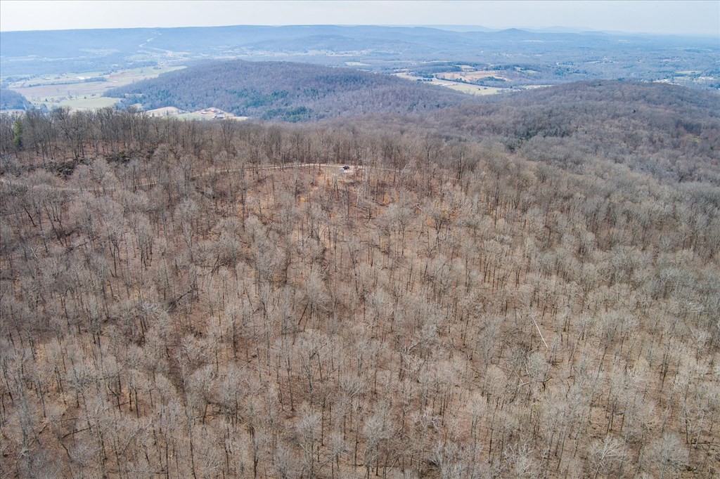 0 Fire Tower Road Sparta, TN 38583 - Photo 8 of 11 Gallery Image 8
