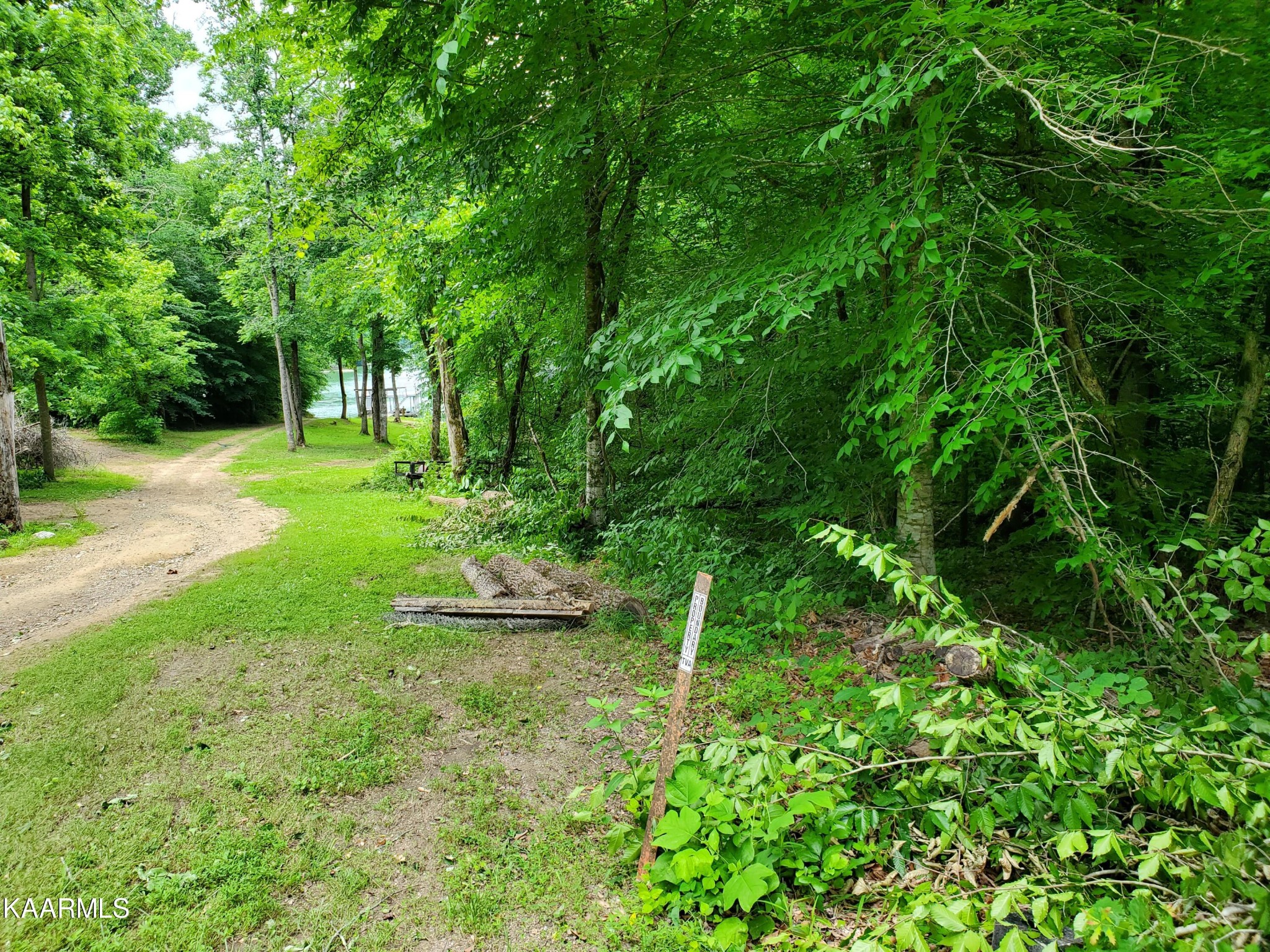 0 Lick Branch Road New Tazewell, TN 37825 - Photo 7 of 24 Gallery Image 7