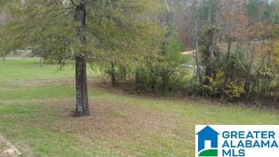 578 Browns Valley Road Pell City, AL 35128 - Photo 20 of 25
