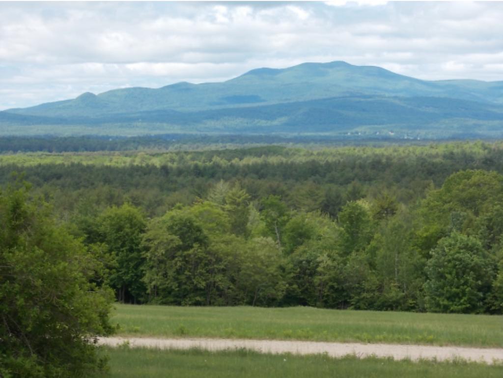 87 Cushing Corner Road Freedom, NH 03836 - Photo 2 of 11