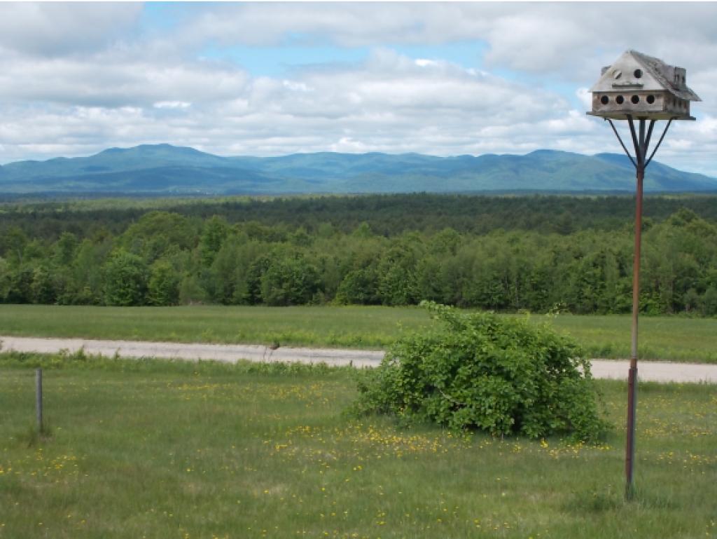 87 Cushing Corner Road Freedom, NH 03836 - Photo 11 of 11