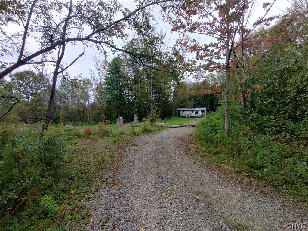 0 Cook Hill Road Newport, NY 13416 - Photo 3 of 9 Gallery Image 3