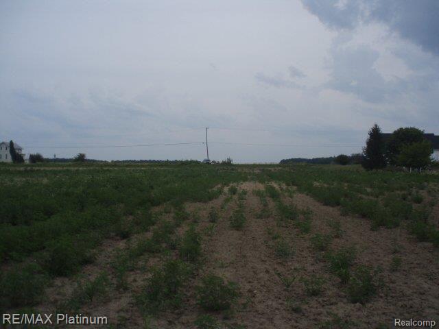 Vl Dixon Road Monroe, MI 48161 - Photo 6 of 13 P7180132