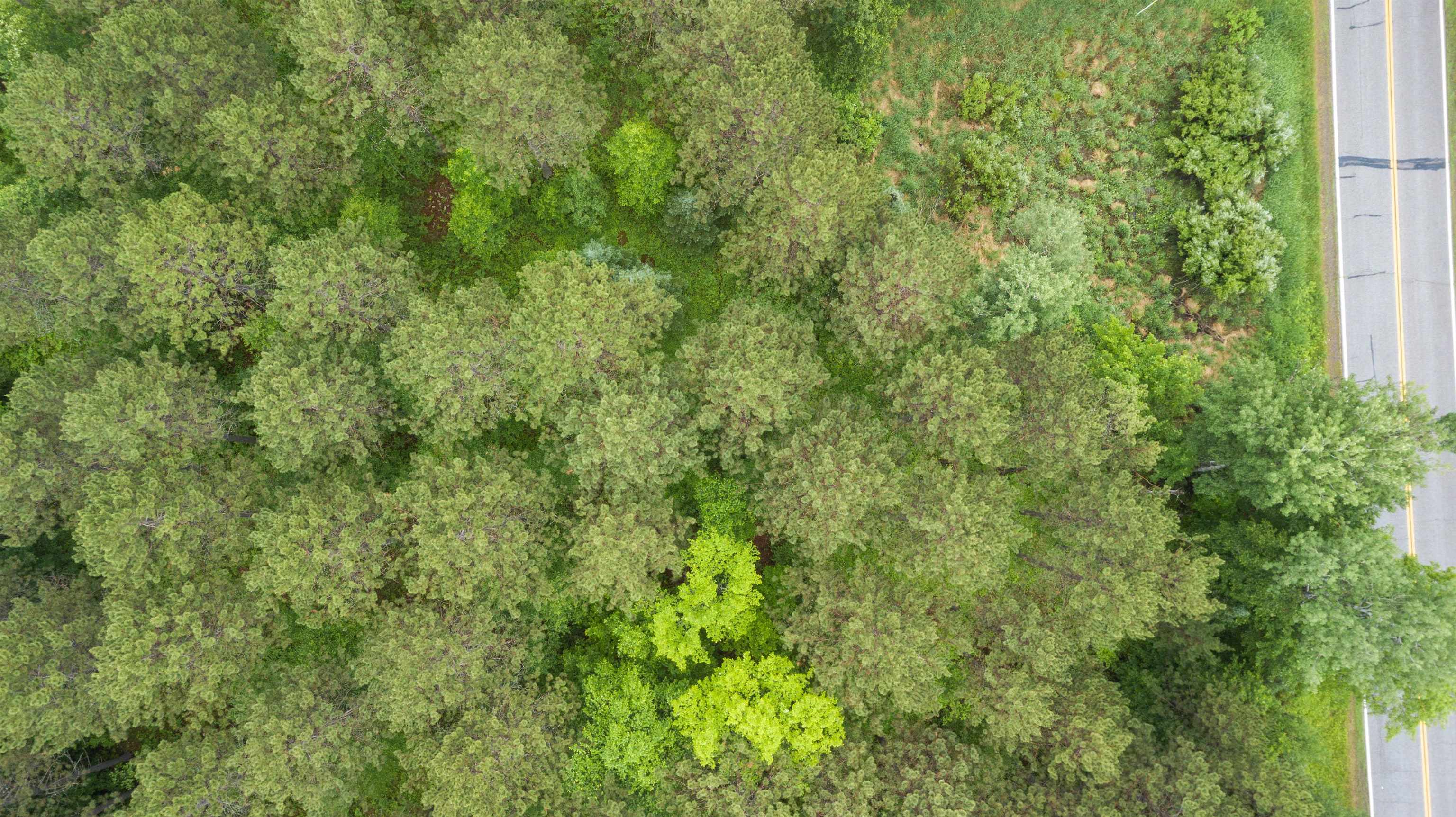 51-xx Lindahl Road Duluth, MN 55811 - Photo 14 of 16