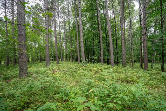 $89,900 | 51-xx Lindahl Road, Duluth, MN 55811