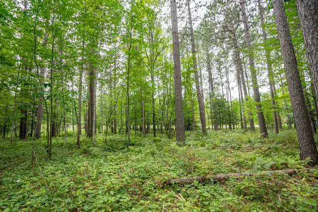 $89,900 | 51-xx Lindahl Road, Duluth, MN 55811