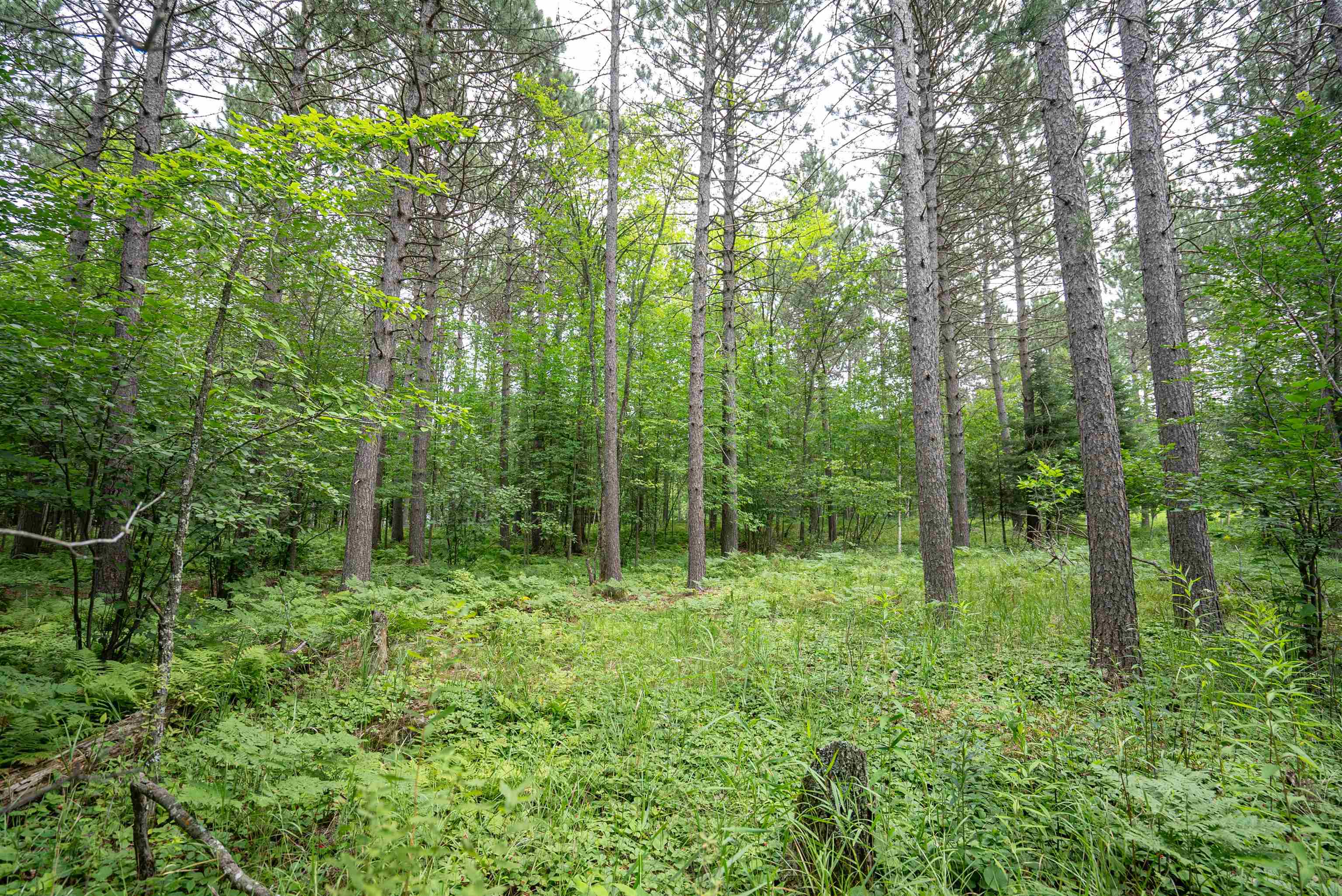 51-xx Lindahl Road Duluth, MN 55811 - Photo 4 of 16