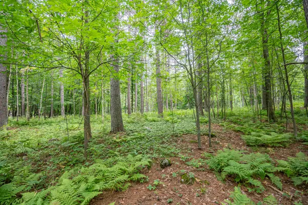 $89,900 | 51-xx Lindahl Road, Duluth, MN 55811