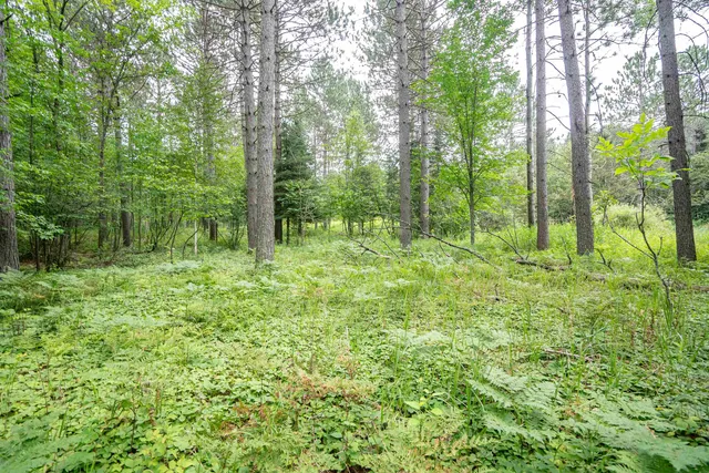 $89,900 | 51-xx Lindahl Road, Duluth, MN 55811