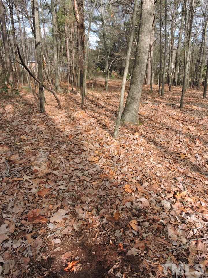 .64-acres Younger Road Roxboro, NC 27573 - Photo 3 of 6