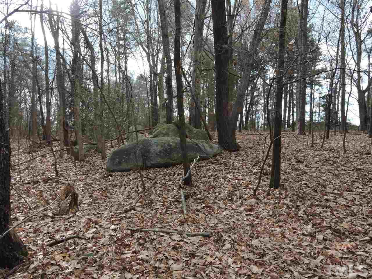 .64-acres Younger Road Roxboro, NC 27573 - Photo 5 of 6