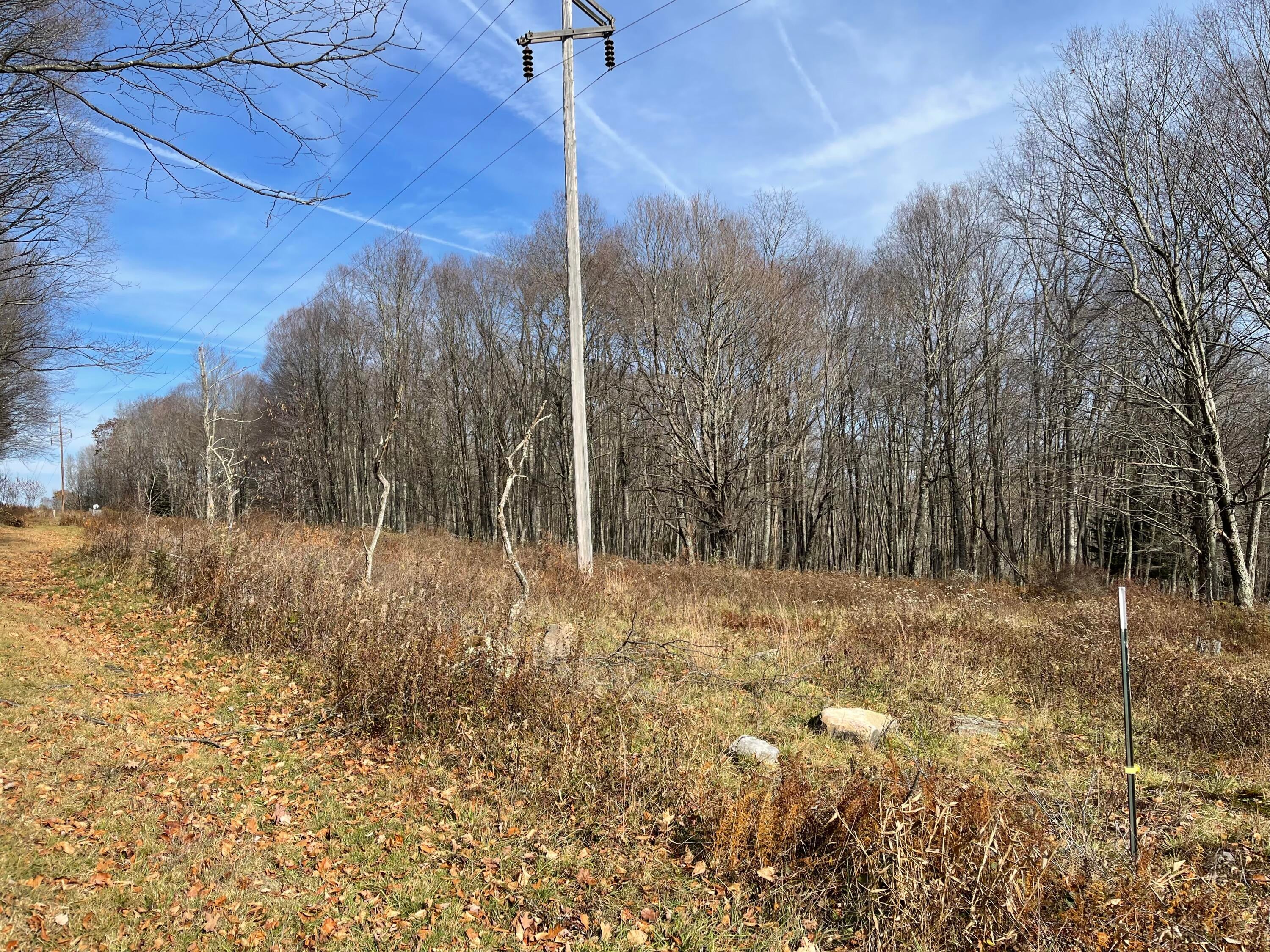 12593 Back Mountain Road Durbin, WV 26264 - Photo 83 of 84 Gallery Image 83
