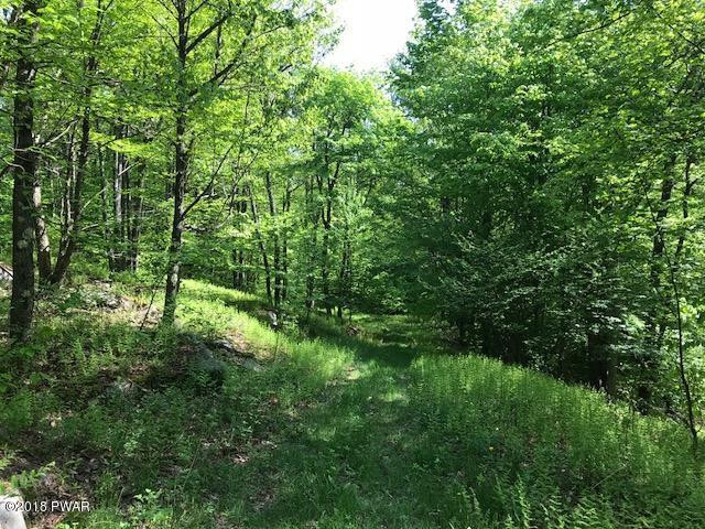 Brook Street Forest City, PA 18421 - Photo 13 of 22
